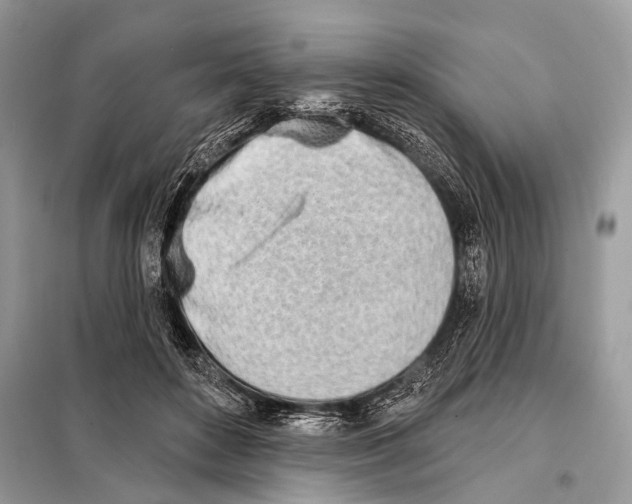 X0000098110504200805021136