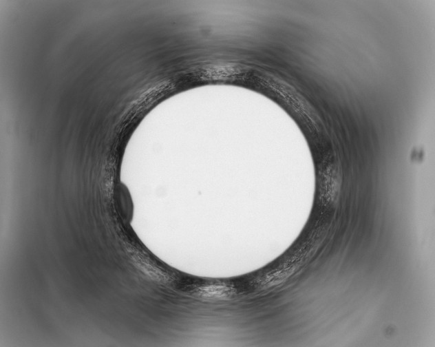 X0000098110505200805021136