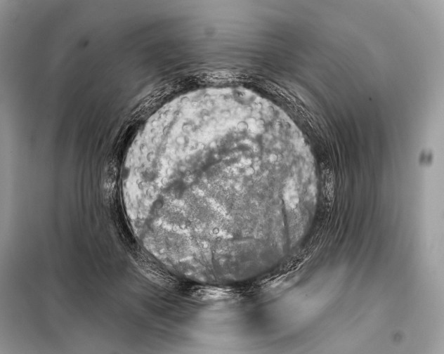 X0000098110507200805021136