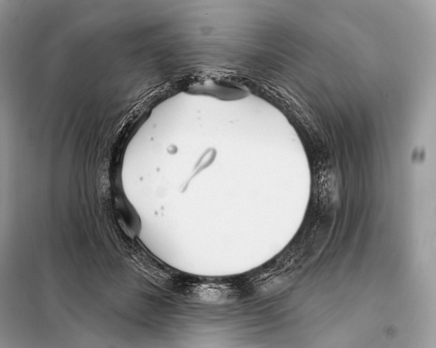 X0000098110508200805021136