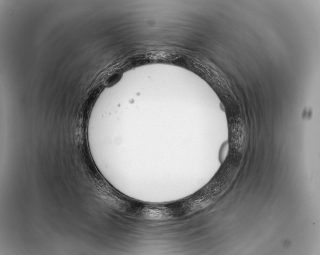 X0000098110510200805021136