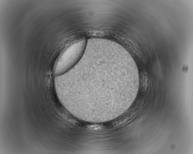 X0000098110511200805021136