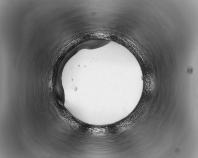 X0000098110512200805021136