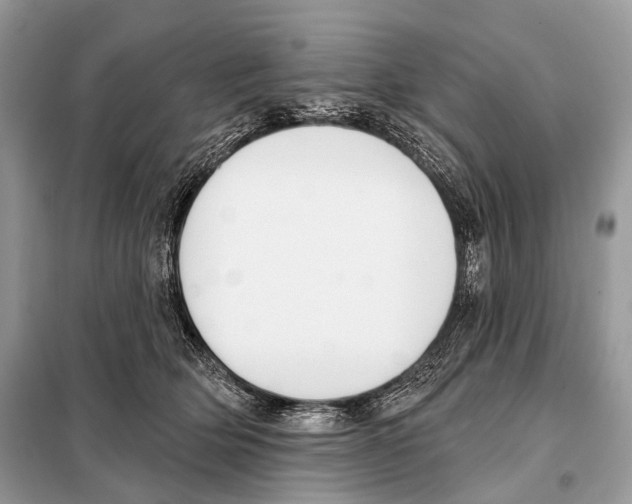 X0000098110514200805021136