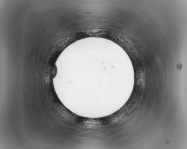 X0000098110515200805021136