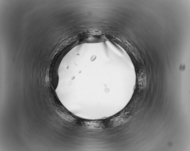 X0000098110516200805021136