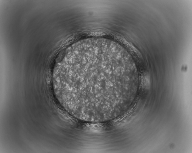 X0000098110517200805021136