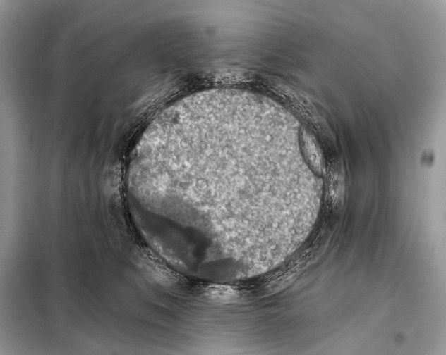 X0000098110519200805021136