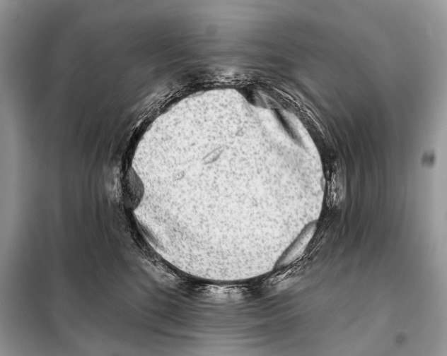 X0000098110520200805021136