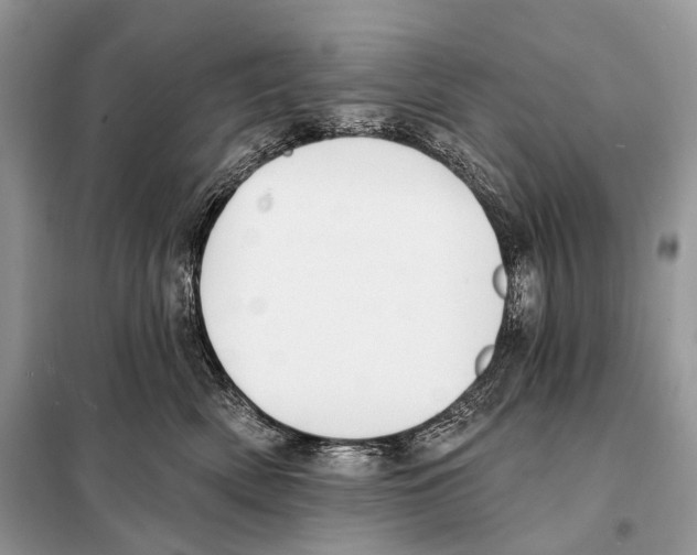 X0000098110522200805021135