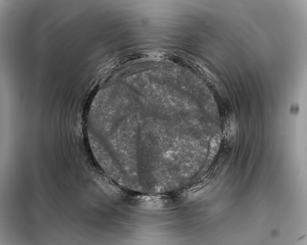 X0000098110524200805021135