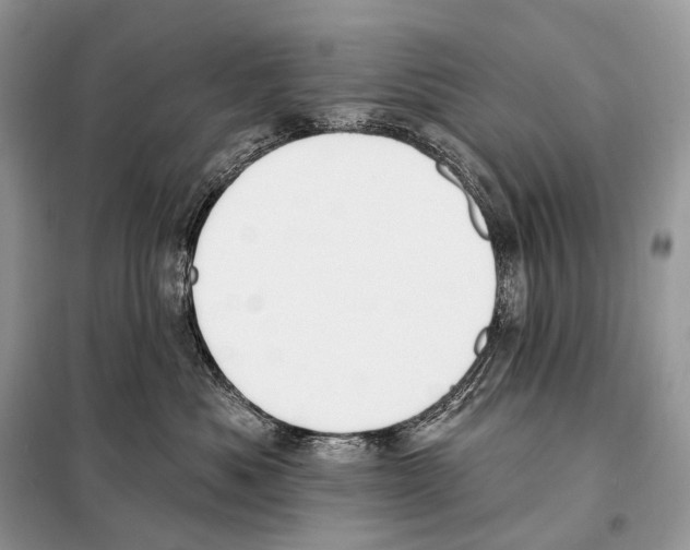 X0000098110525200805021135