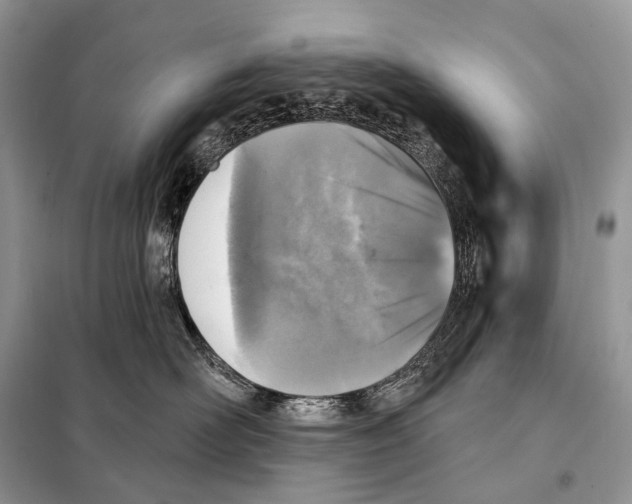 X0000098110526200805021135