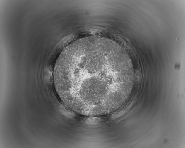 X0000098110527200805021135