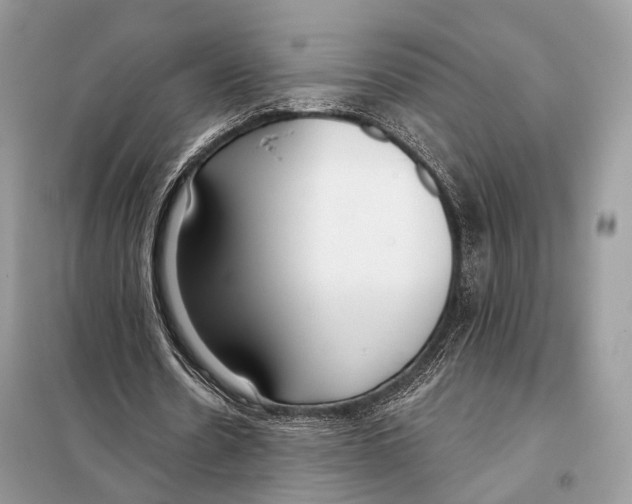 X0000098110530200805021135