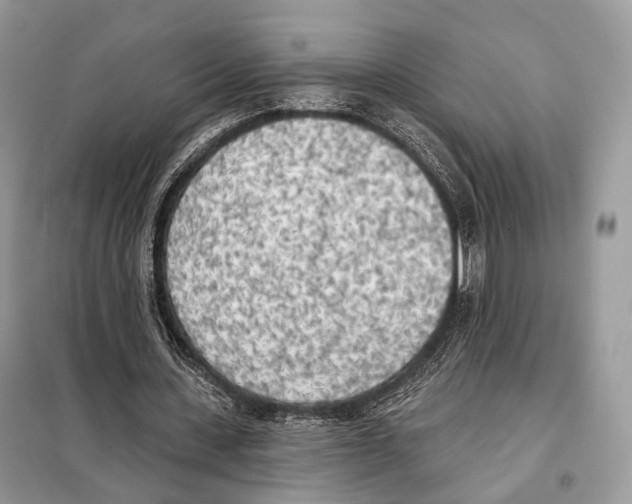 X0000098110531200805021135