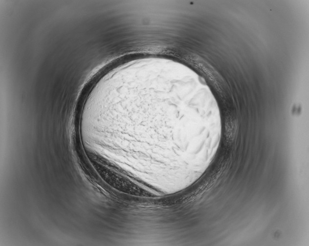 X0000098110532200805021135