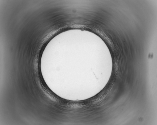 X0000098110533200805021135