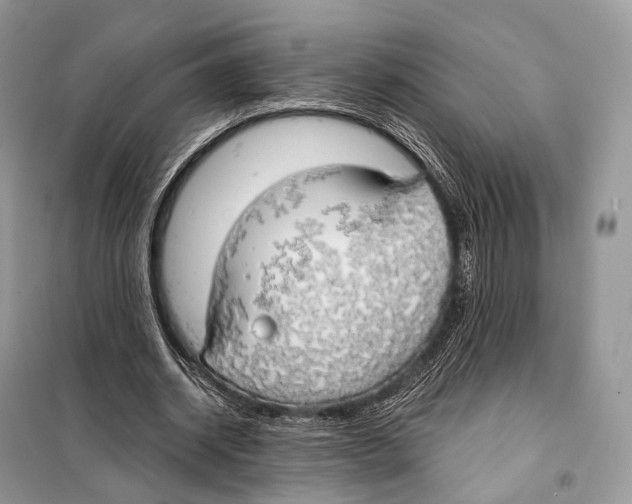 X0000098110534200805021135