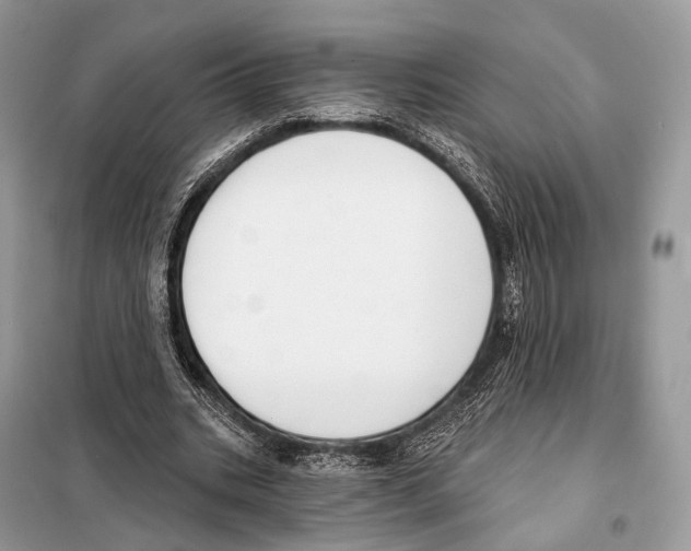 X0000098110535200805021135