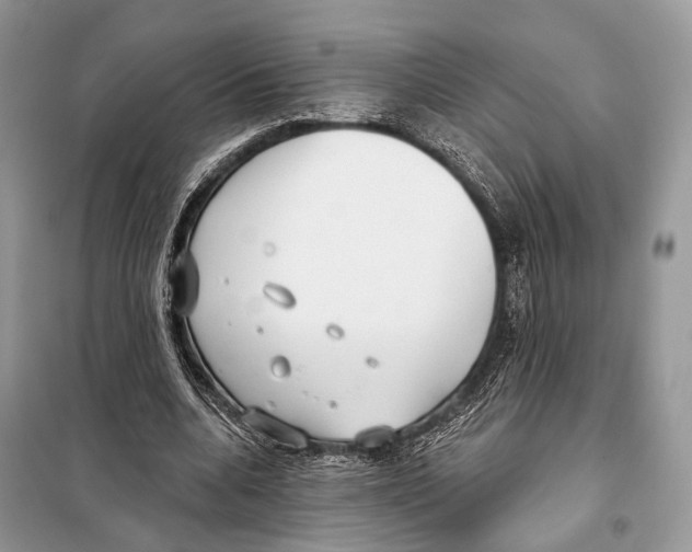 X0000098110536200805021135