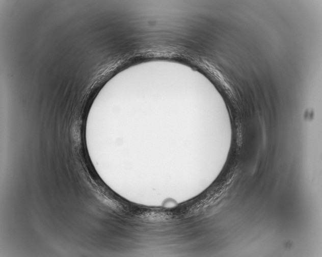 X0000098110537200805021135