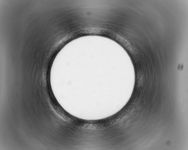 X0000098110538200805021135