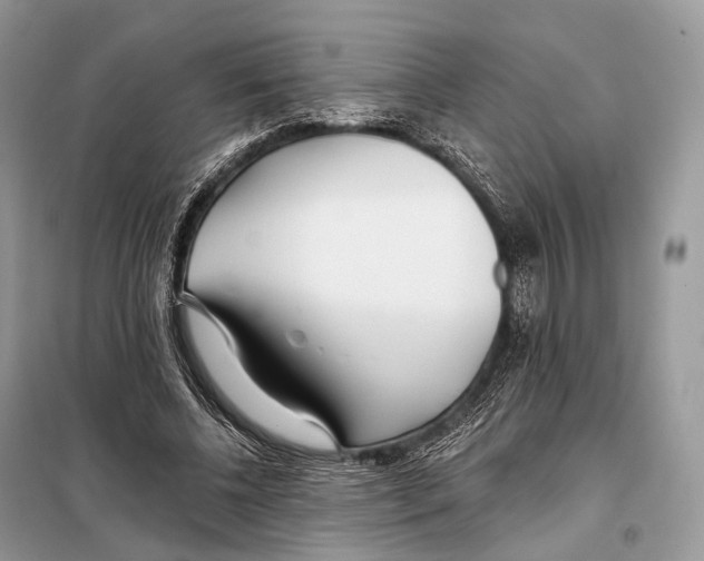 X0000098110540200805021135