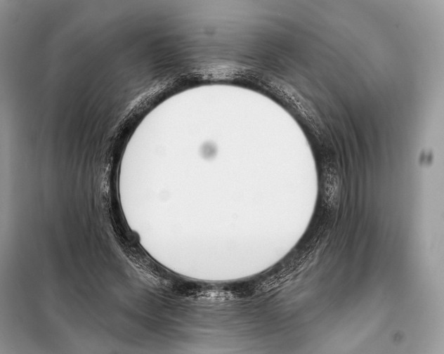 X0000098110543200805021135