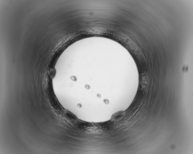 X0000098110544200805021135