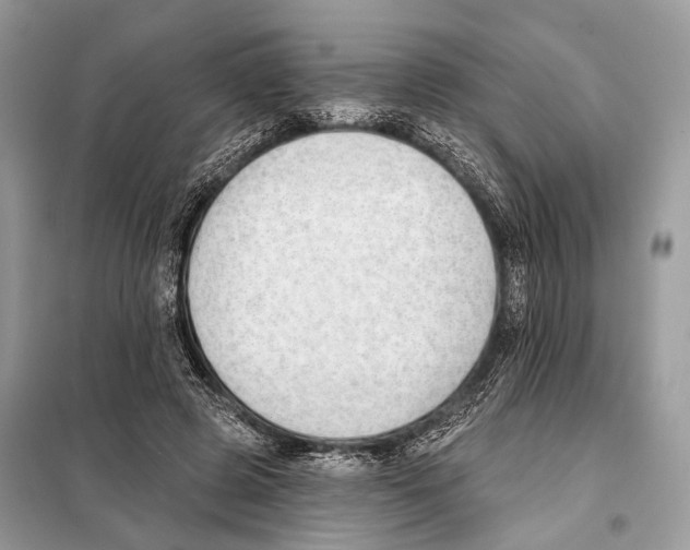 X0000098110545200805021135