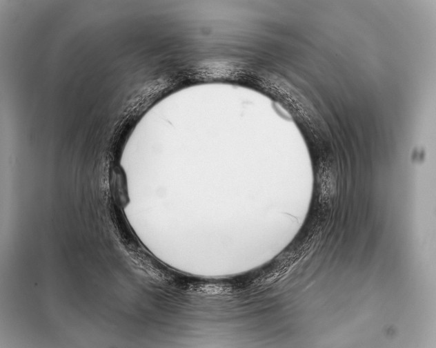 X0000098110546200805021135