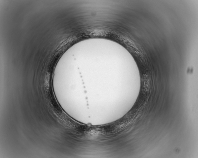 X0000098110550200805021135