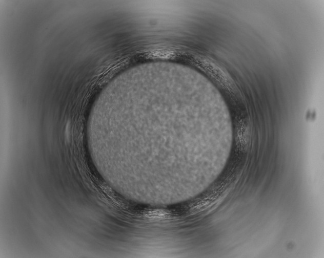 X0000098110551200805021135