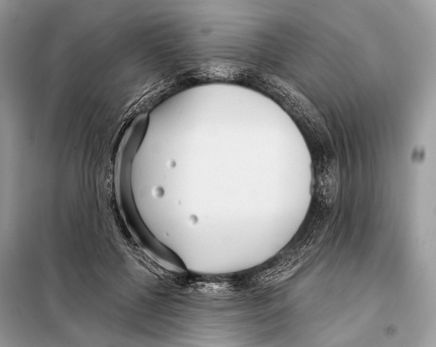 X0000098110552200805021135