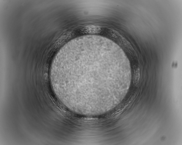 X0000098110553200805021135