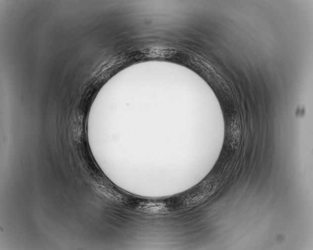 X0000098110554200805021135