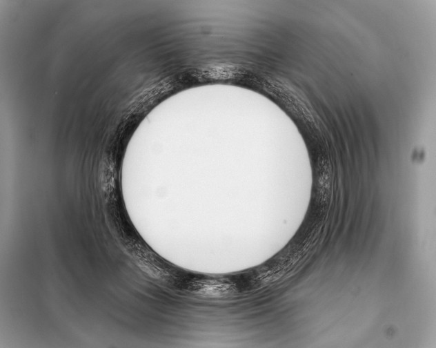 X0000098110555200805021135