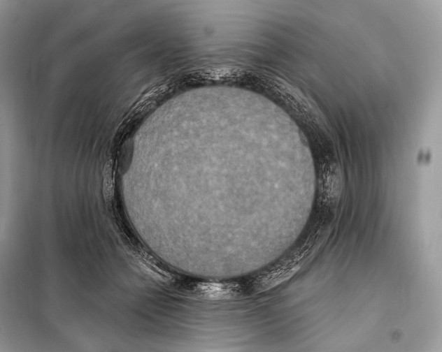 X0000098110558200805021135