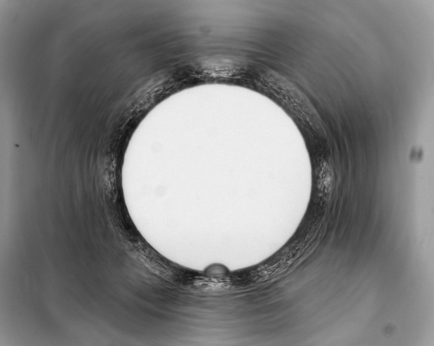 X0000098110559200805021135