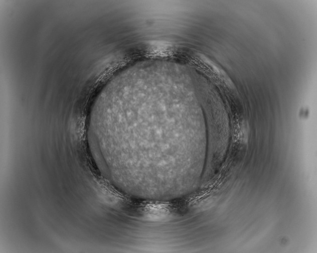 X0000098110560200805021135