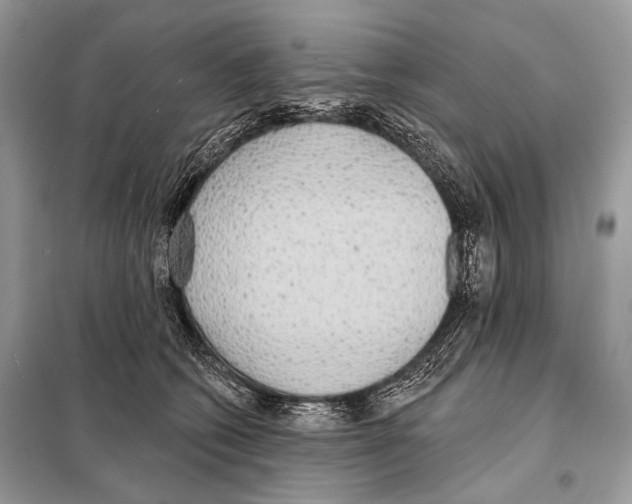 X0000098110562200805021135