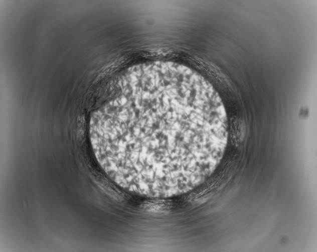 X0000098110563200805021135