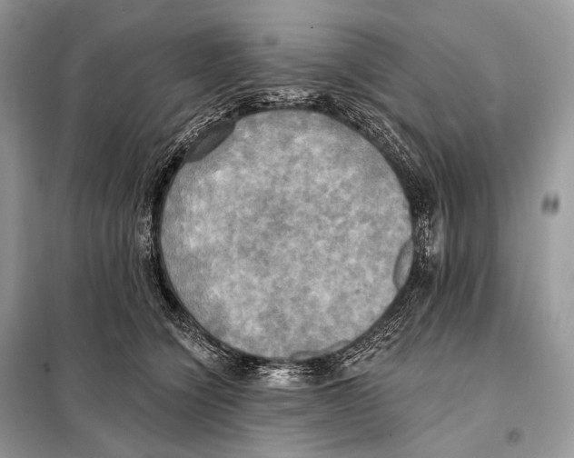 X0000098110564200805021135