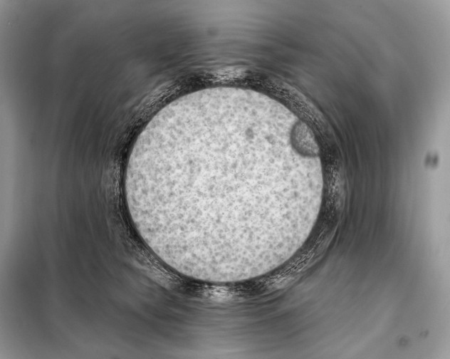 X0000098110565200805021135