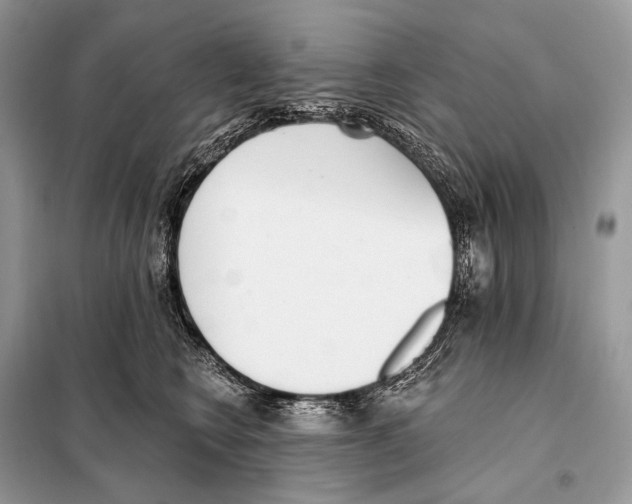 X0000098110566200805021135