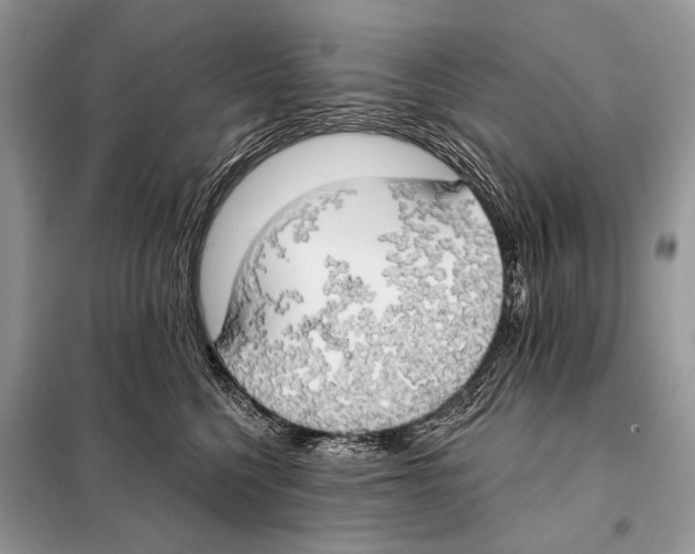 X0000098110568200805021135