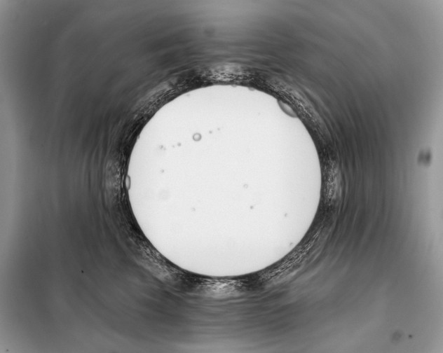 X0000098110569200805021135