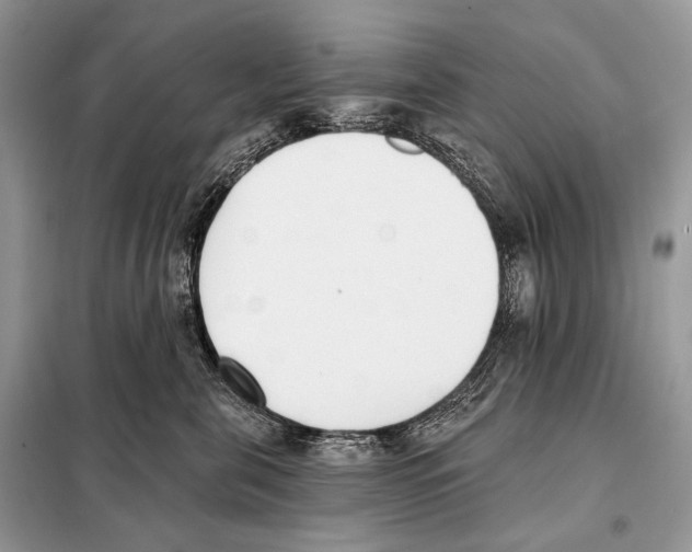 X0000098110571200805021135