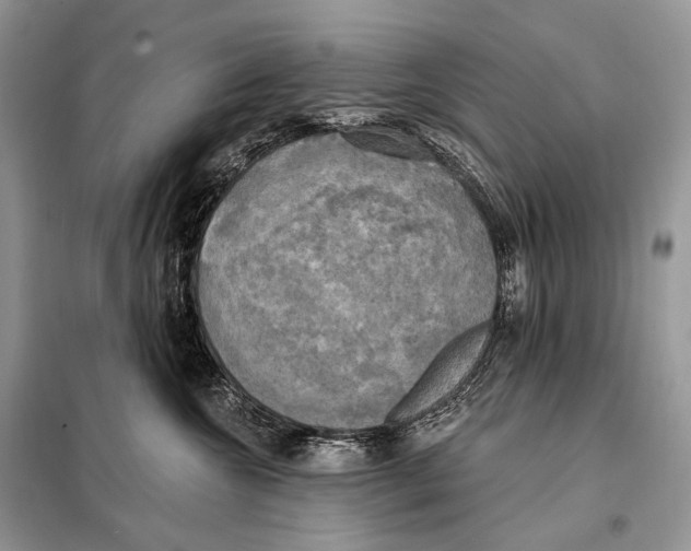 X0000098110572200805021135